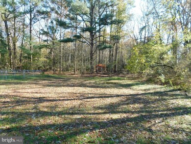 14812 Pepperbox Rd, Delmar, DE 19940 - photo 7