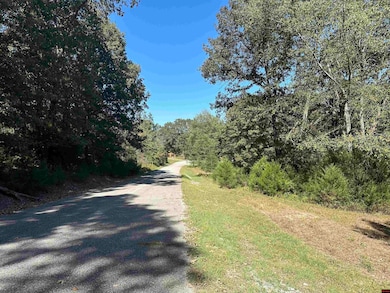 Lot 38 Bluffview Place, Flippin, AR 72634 - photo 3