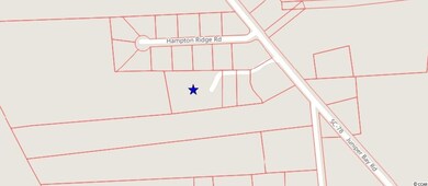 TBD W Highway 78, Conway, SC 29527 - photo 6