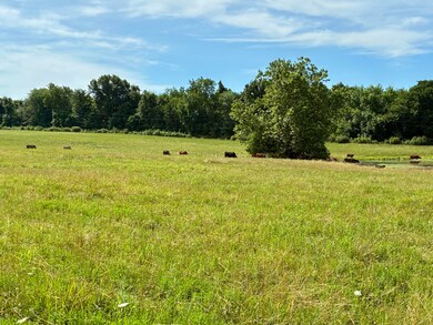 22665 State Highway 83, Weaubleau, MO 65774 - photo 7