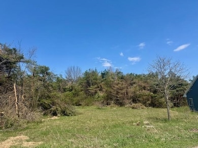 704 Maple Creek Blvd unit 1, Petoskey, MI 49770 - photo 3