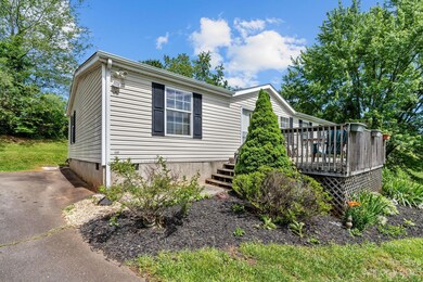 31 Frank Lawson Ln, Leicester, NC 28748 - photo 4