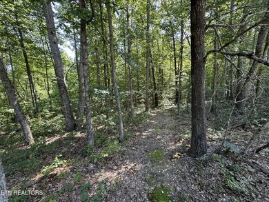 0 Little Place unit RTC2928150, Monterey, TN 38574 - photo 6