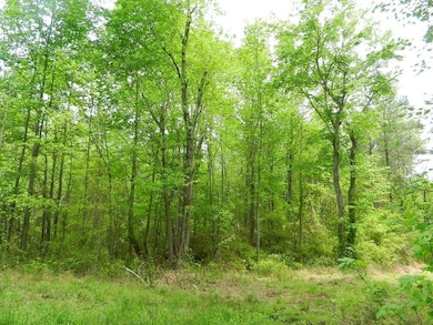 00 Lewis Rd, Dunn, NC 27597 - photo 6