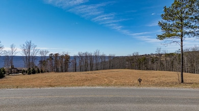 0 Raulston Falls Rd unit RTC3049508, Jasper, TN 37347 - photo 5