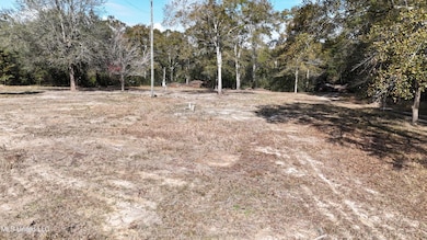 11925 Roberts Chapel Rd, Moss Point, MS 39562 - photo 3