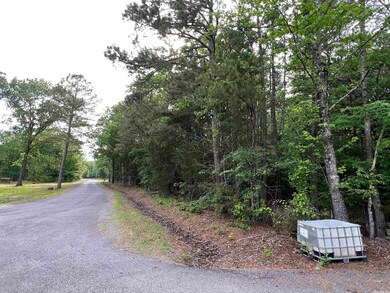 0 Stoney Point Rd, Heber Springs, AR 72543 - photo 3