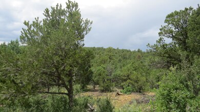 IMG_6781