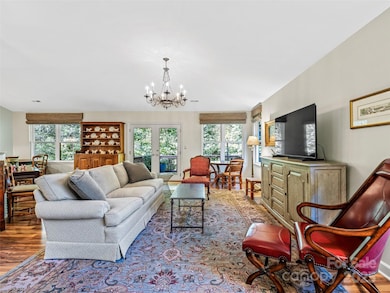 73 Ridgetop Cir unit 303, Brevard, NC 28712 - photo 6