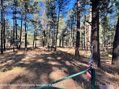 121 Stag Loop, Alto, NM 88312 - photo 4