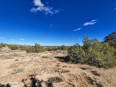 Parcel 2 W Shumway Rd, Taylor, AZ 85901 - photo 4