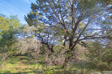 2660 Trophy Point, New Braunfels, TX 78132 - photo 7