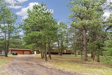 20020 Teacup Grove, Peyton, CO 80831 - photo 3