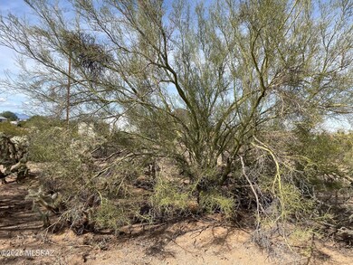 7305 N van Ark Rd unit 2, Tucson, AZ 85743 - photo 3