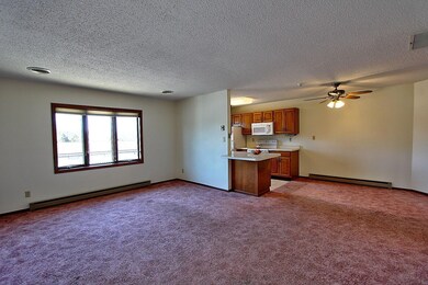 222 Sargent Dr unit 202, Red Wing, MN 55066 - photo 4
