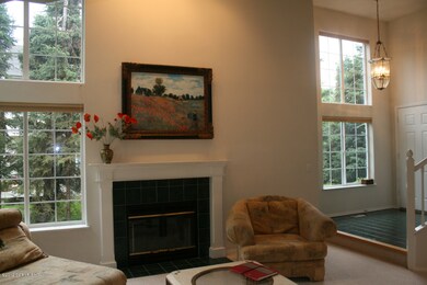 3 Fireplace  windows and entrance door