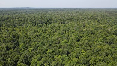 0 Kimball Camp Rd unit 11531903, Orwell, NY 13426 - photo 3