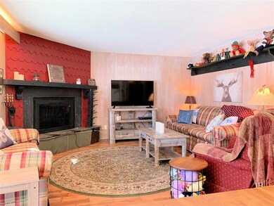 53 Birches Way unit BB2, Peru, VT 05152 - photo 4