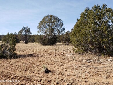 53128/78 N Cloudcroft Way, Seligman, AZ 86337 - photo 4