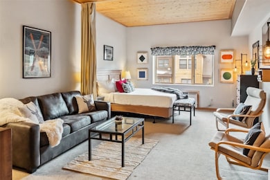 23110 Us Highway 6 unit 5054, Keystone, CO 80435 - photo 2