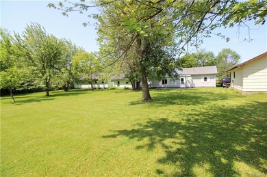 MASSIVE backyard!