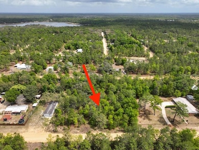0 Patch St, Interlachen, FL 32148 - photo 2