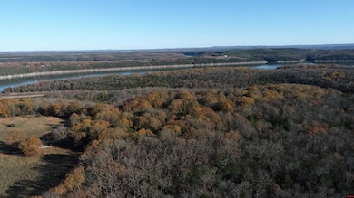 Tract 14 Timber Shoals Rd, Cedar Creek, MO 65627 - photo 7