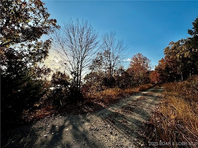 lot 17 Lake Horizons Rd, Gravois Mills, MO 65037 - photo 5