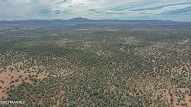 Lot 199 Juniperwood Ranch, Ash Fork, AZ 86320 - photo 6