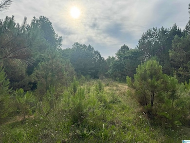 0 U S 43 unit 21410973, Guin, AL 35563 - photo 3