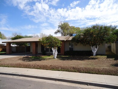 Front View