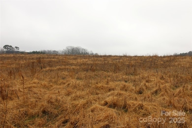 1.5+/-AC LOT 9 Eaker Rd, Kings Mountain, NC 28086 - photo 6