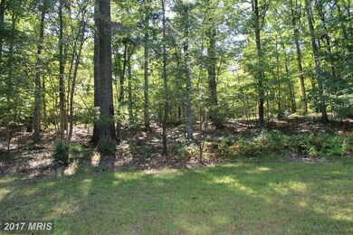 3176 N Mountain Rd, Wardensville, WV 26851 - photo 4