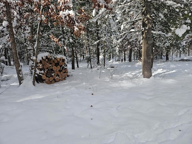 7106 Michigan 37, Irons, MI 49644 - photo 4