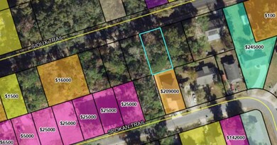 XX Sioux Trail, Crawfordville, FL 32327 - photo 2