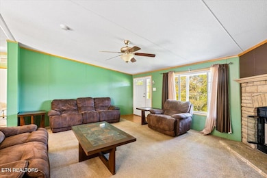 114 Myrtle Vinsant Ln, Jacksboro, TN 37757 - photo 4