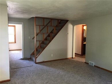 Plush, beautiful neutral new carpet in living room