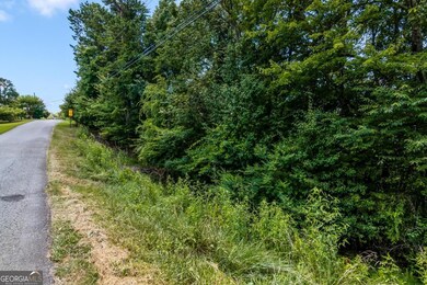 Lot 36 Talona Mountain Rd unit 34, Ellijay, GA 30536 - photo 3