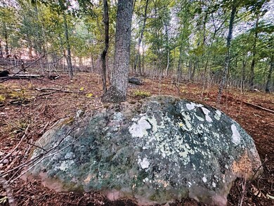 boulder1