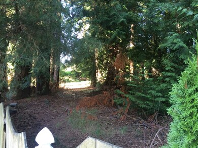 8705 Maplewood Ln, Edmonds, WA 98026 - photo 5