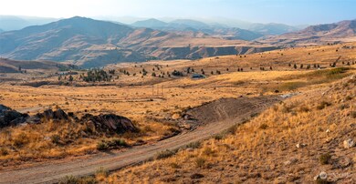 0 Hannah Rd unit 19 2006075, Pateros, WA 98846 - photo 3