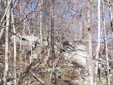 334 Swartekill Rd, Esopus, NY - photo 3