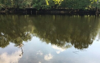 0 Lot 46 Santa Fe Dr unit 100498, Fort White, FL 32038 - photo 2