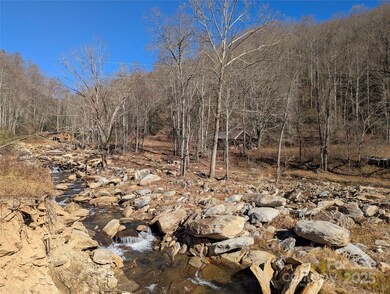 2726 Lower Flat Creek Rd, Black Mountain, NC 28711 - photo 4