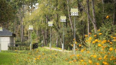 303 Bananaquit Way, Magnolia, TX 77354 - photo 6