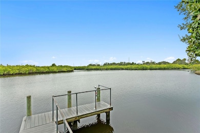 Community Dock with Gulf access and Anclote River access