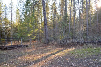Lots of cleared area for parking