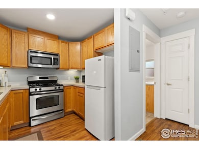 237 Cardinal Way, Longmont, CO 80501 - photo 7