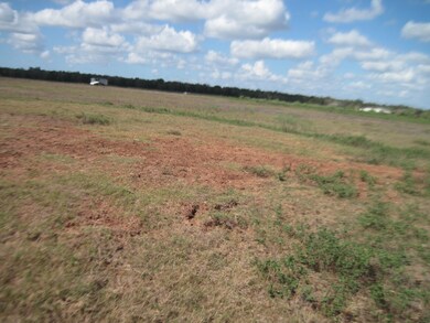 308 County Road 416, Brazoria, TX 77422 - photo 4