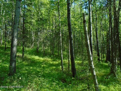 more trees